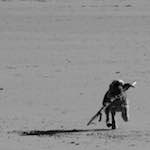 Third image from the photoset 'alnmouth (i) (RIP)'.