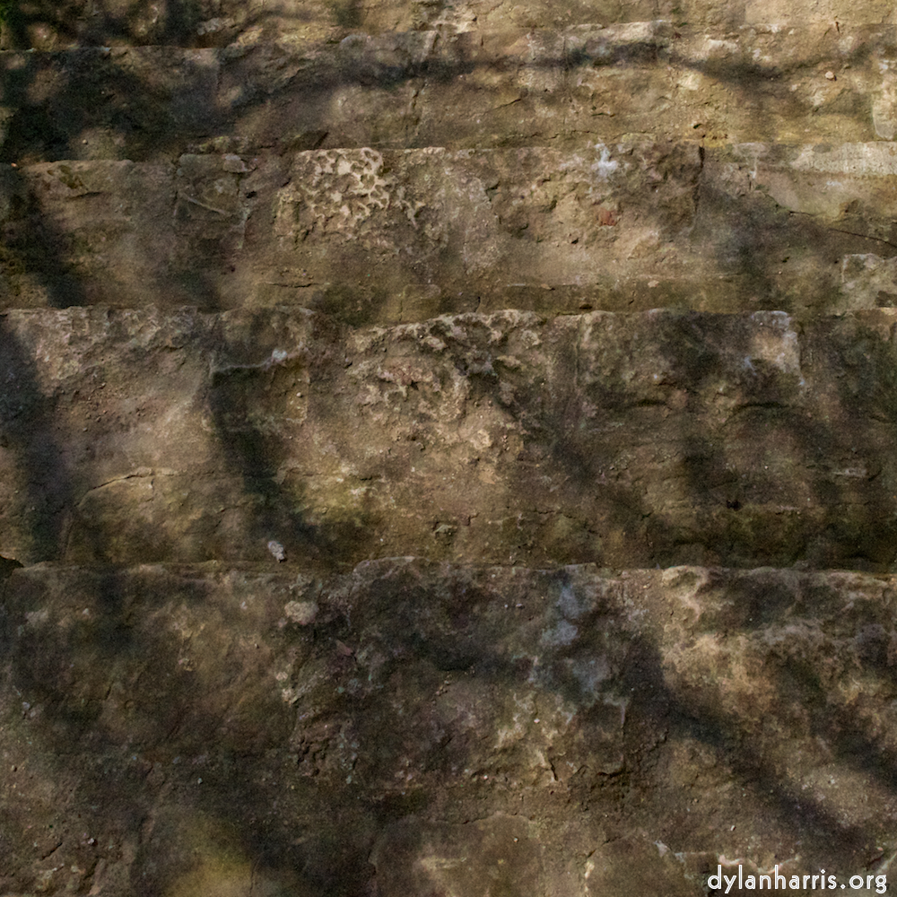 Image 'rham (iii) 5'.