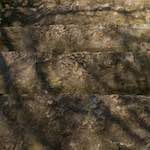 Fifth image from the photoset 'rham (iii)'.