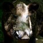 image: Image from the photoset &lsquo;esch&ndash;sur&ndash;alzette (xxix)&rsquo;.