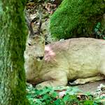 image: Image from the photoset &lsquo;esch&ndash;sur&ndash;alzette (xxix)&rsquo;.