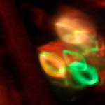 image: Image from the photoset &lsquo;spoken word&rsquo;.