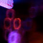 image: Image from the photoset &lsquo;spoken word&rsquo;.