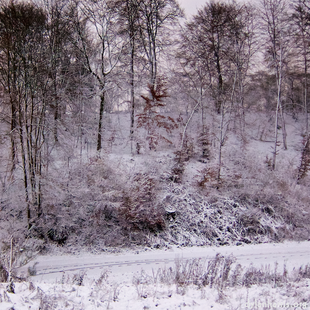 image: This is &lsquo;way to work B (ii) 1&rsquo;.