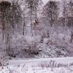 image: Image from the photoset &lsquo;way to work B (ii)&rsquo;.