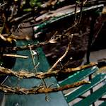 image: Image from the photoset &lsquo;metro (ii)&rsquo;.