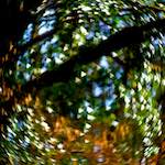 image: Image from the photoset &lsquo;terres rouges (xi)&rsquo;.