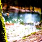 image: Image from the photoset &lsquo;terres rouges (xi)&rsquo;.