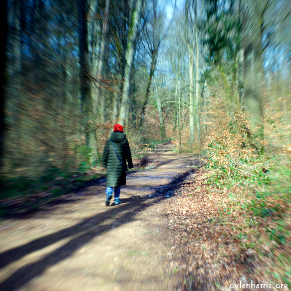 image: This is &lsquo;L (xxv) 1&rsquo;.