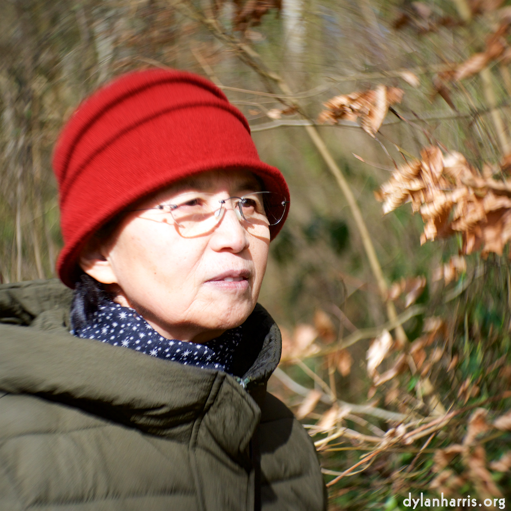 image: This is &lsquo;L (xxv) 2&rsquo;.