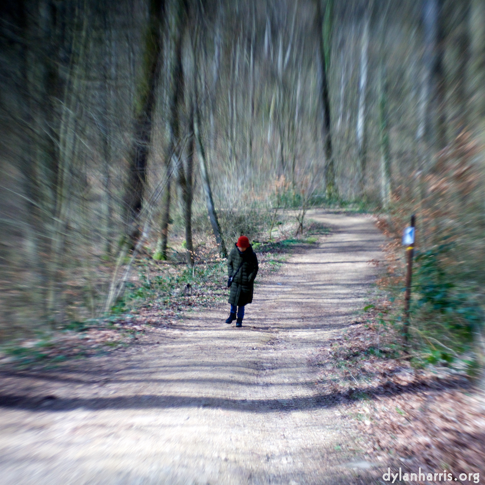 image: This is &lsquo;L (xxv) 4&rsquo;.