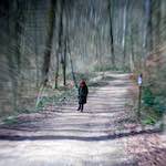 image: Image from the photoset &lsquo;L (xxv)&rsquo;.