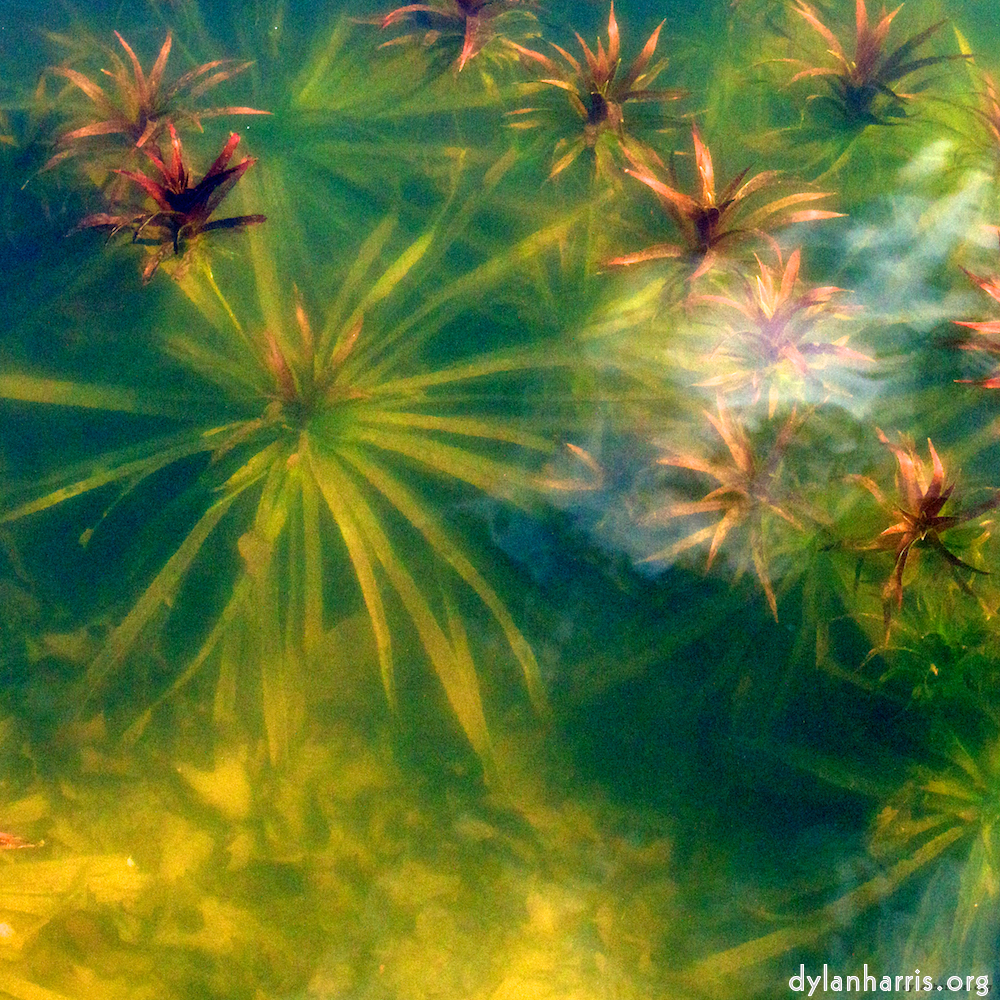 Image 'eindhoven (iii) 2'.