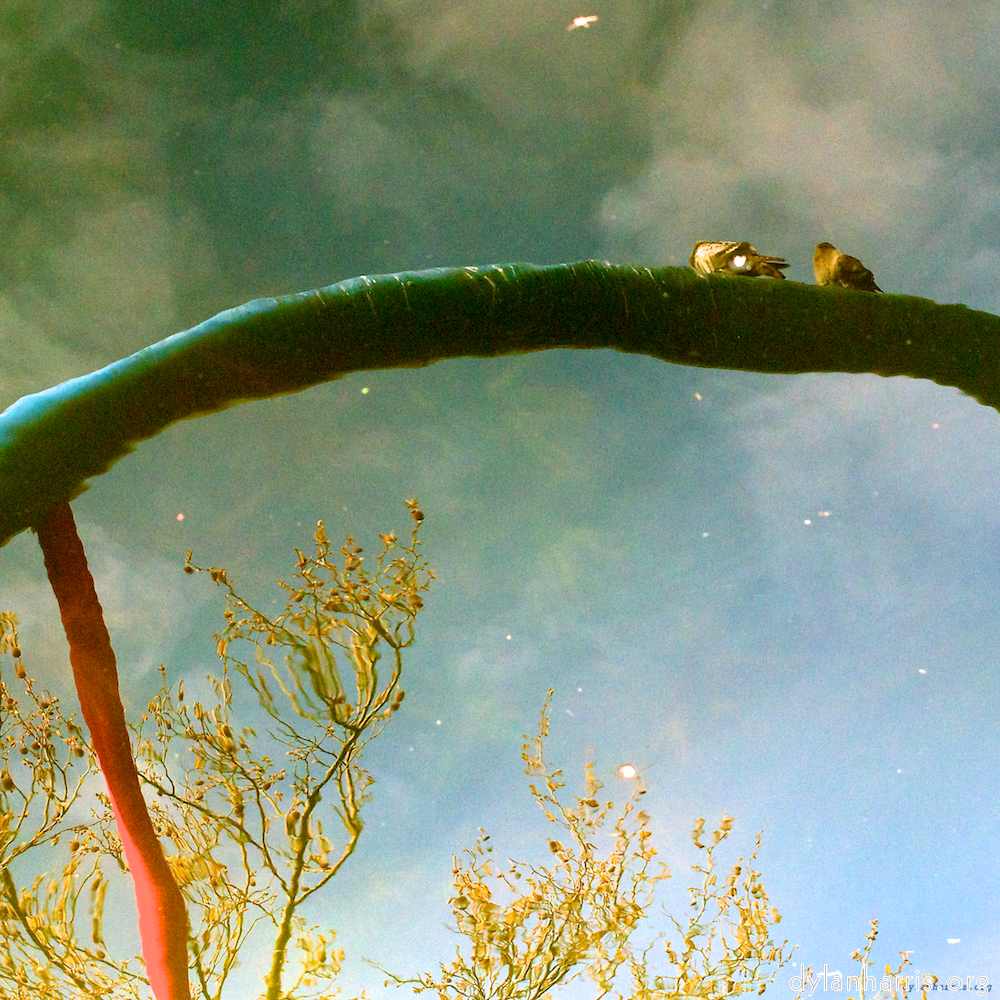 Image 'eindhoven (iii) 3'.