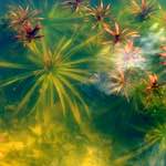 Second image from the photoset 'eindhoven (iii)'.