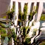 image: Image from the photoset &lsquo;la d&eacute;fense (xxxviii)&rsquo;.