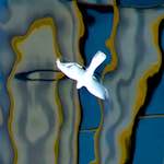 image: Image from the photoset &lsquo;europort (ii)&rsquo;.