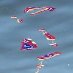 Third image from the photoset 'utrecht (iii)'.