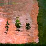 First image from the photoset 'utrecht (iv)'.