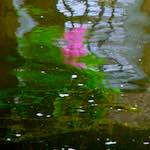 Second image from the photoset 'utrecht (v)'.