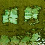 Fourth image from the photoset 'utrecht (vi)'.