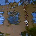 Fifth image from the photoset 'utrecht (vi)'.