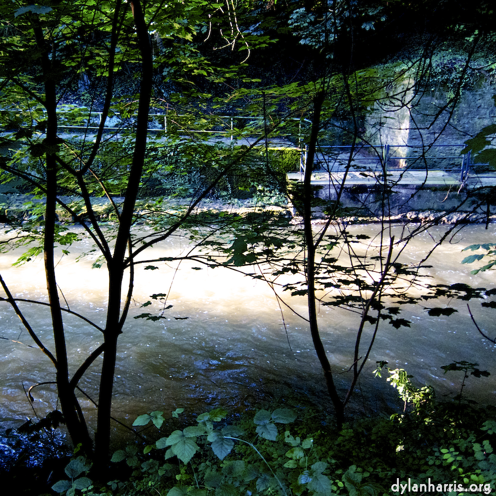 Image: Image 'clausen (ii) 2'.