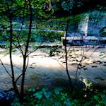 First image from the photoset 'clausen (ii)'.