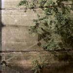 Third image of Escher D&eacute;ierepark, from the photoset 'esch&ndash;sur&ndash;alzette (iii)'.