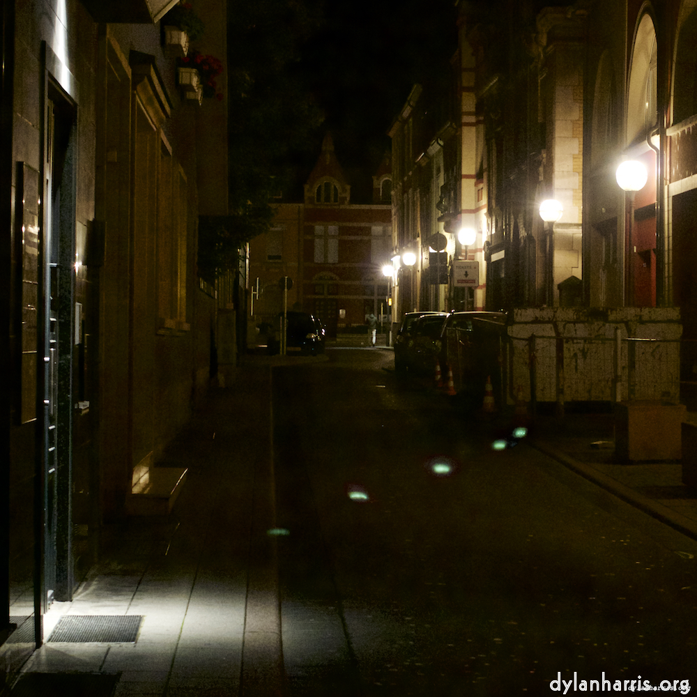 Image 'esch&ndash;sur&ndash;alzette (iv) 5', of daffodils.