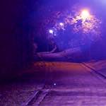 Fourth image of Escher D&eacute;ierepark, from the photoset 'esch&ndash;sur&ndash;alzette (iv)'.