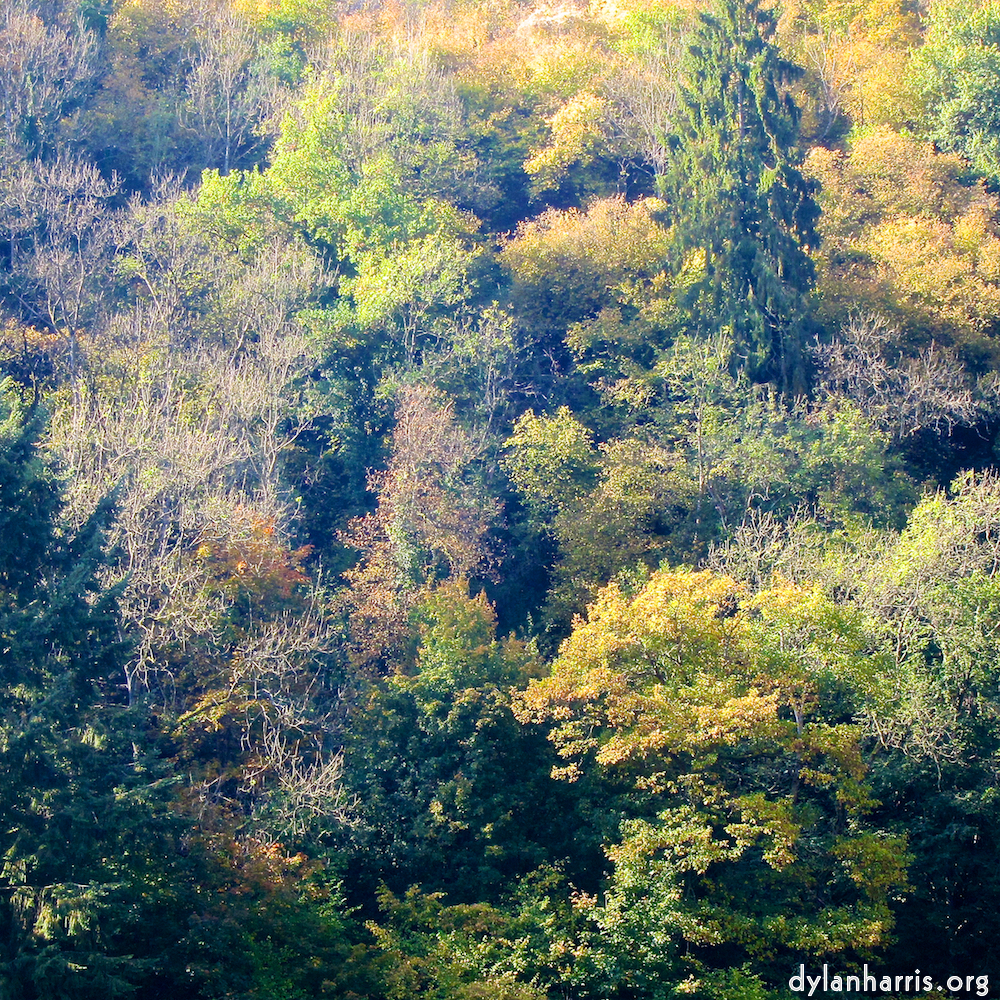 Image: Image 'veianen (iv) 2'.