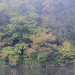 Image: Fifth image from the photoset 'veianen (iv)'.