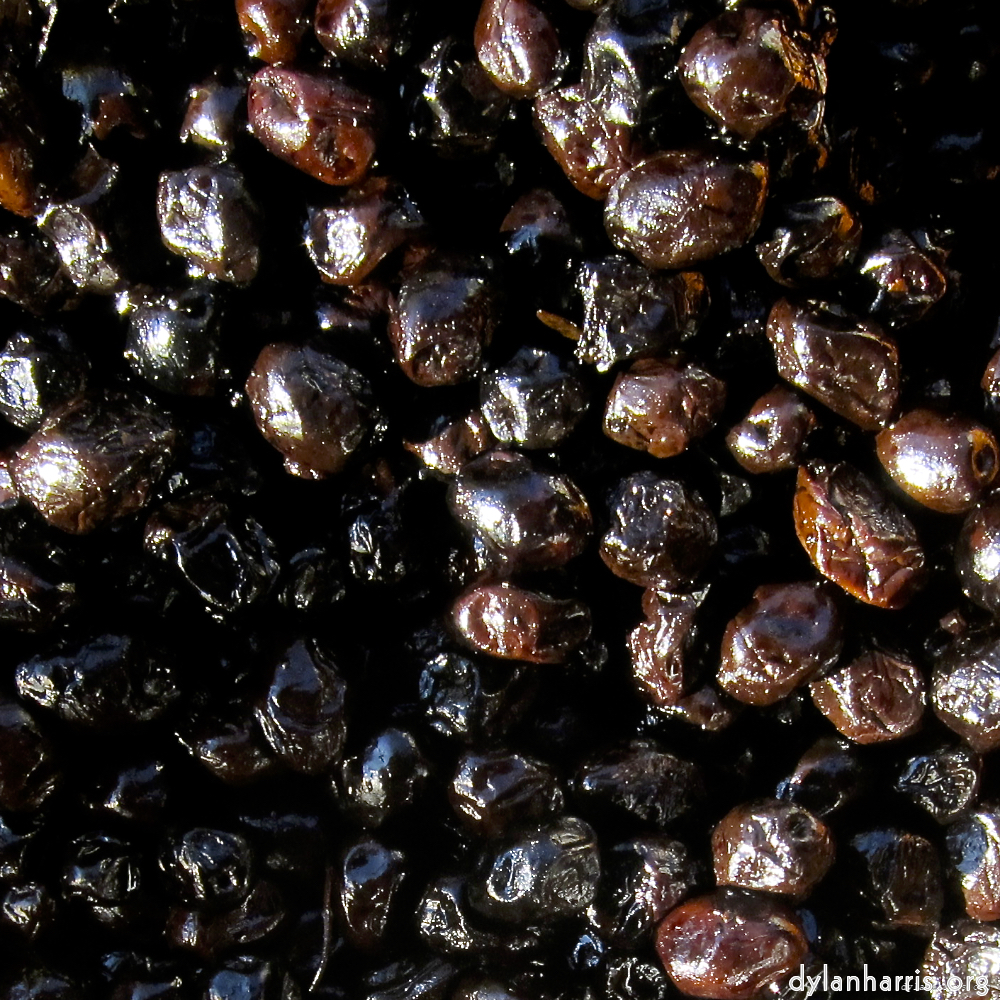 Image: Image 'veianen (v) 1'.