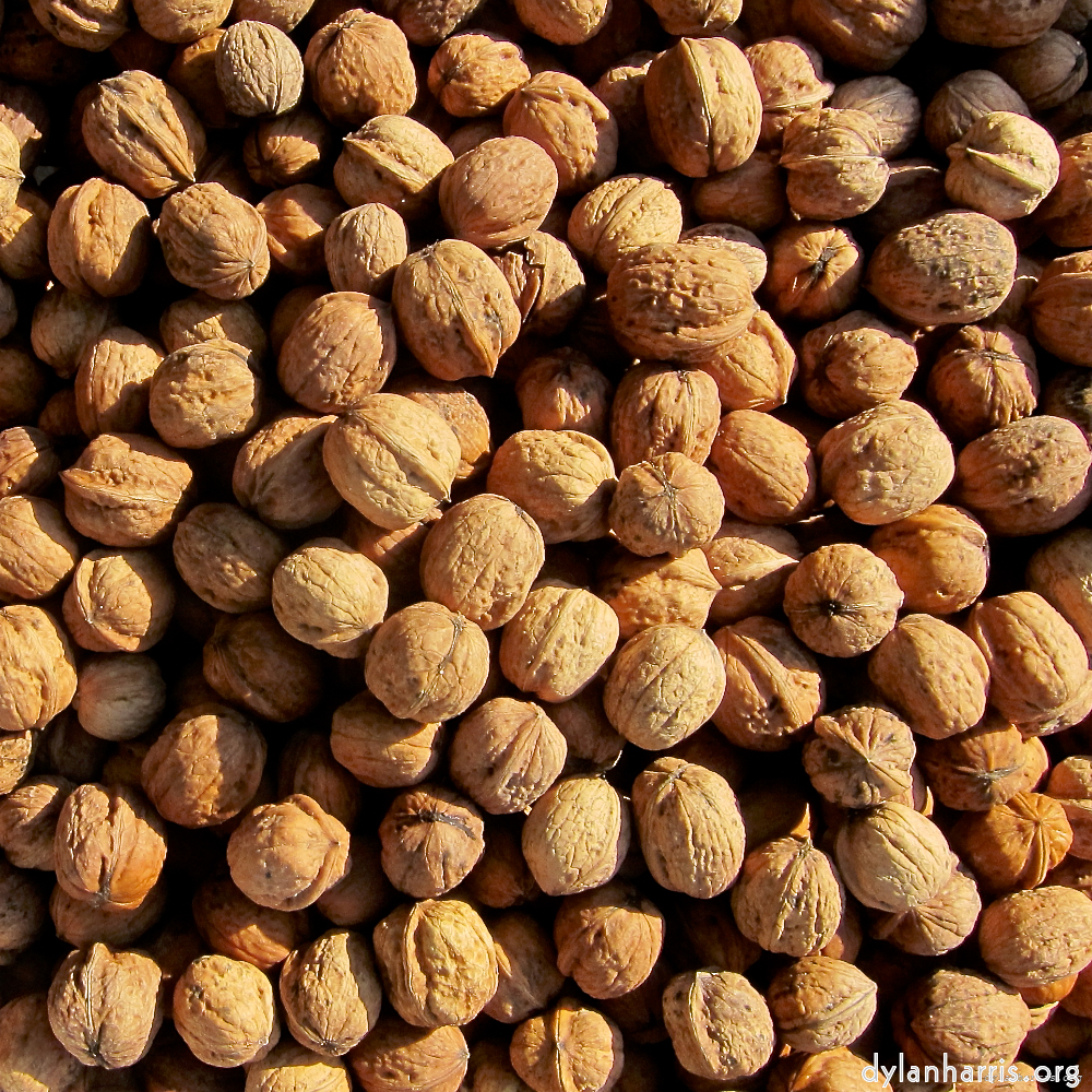 Image: Image 'veianen (v) 6'.