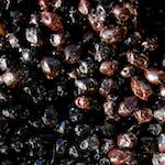 Image: First image from the photoset 'veianen (v)'.