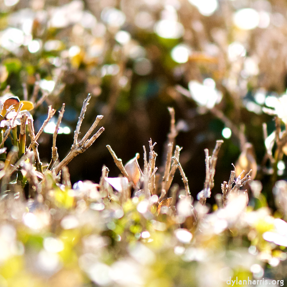 image: Image 'place&nbsp;de&nbsp;la&nbsp;r&eacute;sistance 1', at Place de la R&eacute;sistance.