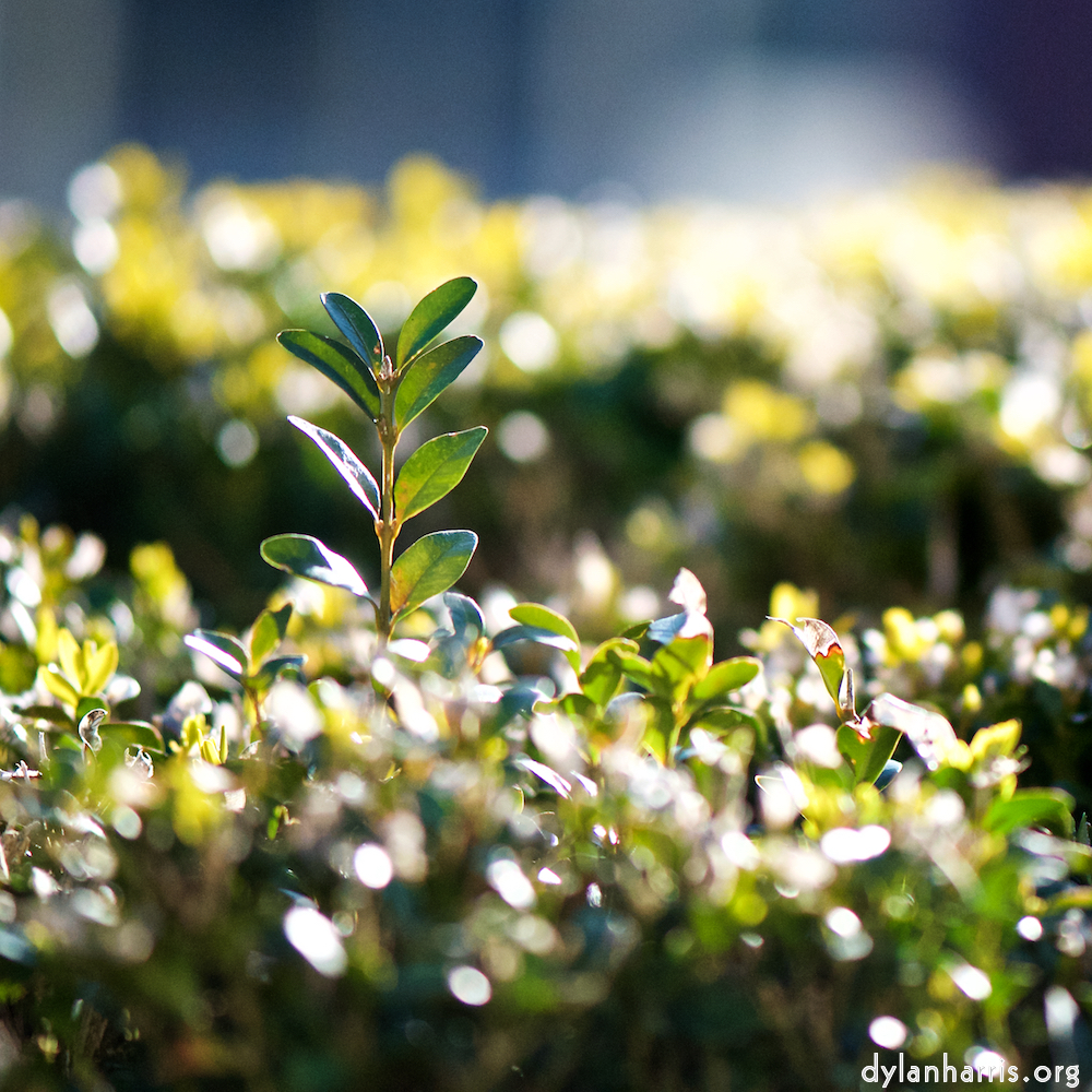 image: Image 'place&nbsp;de&nbsp;la&nbsp;r&eacute;sistance 6', at Place de la R&eacute;sistance, of deer feeding.