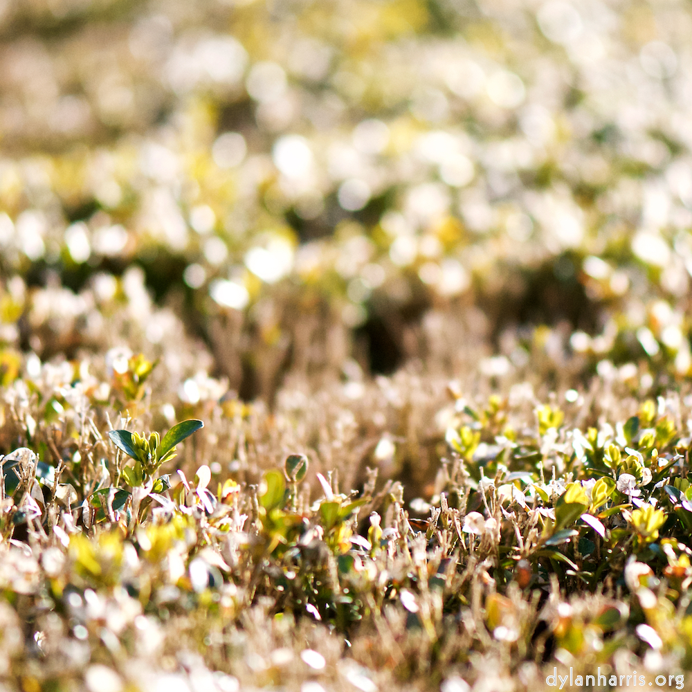 image: Image 'place&nbsp;de&nbsp;la&nbsp;r&eacute;sistance 8', at Place de la R&eacute;sistance, the snout of a highland bull.