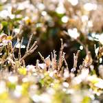 image: First image of Place de la R&eacute;sistance, from the photoset 'place&nbsp;de&nbsp;la&nbsp;r&eacute;sistance'.