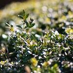 image: Second image of Place de la R&eacute;sistance, from the photoset 'place&nbsp;de&nbsp;la&nbsp;r&eacute;sistance'.