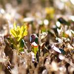 image: Third image of Place de la R&eacute;sistance, from the photoset 'place&nbsp;de&nbsp;la&nbsp;r&eacute;sistance'.