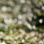 image: Fifth image of Place de la R&eacute;sistance, from the photoset 'place&nbsp;de&nbsp;la&nbsp;r&eacute;sistance'.