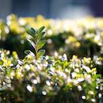 image: Sixth image of Place de la R&eacute;sistance, from the photoset 'place&nbsp;de&nbsp;la&nbsp;r&eacute;sistance'.