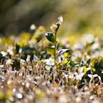 image: Seventh image of Place de la R&eacute;sistance, from the photoset 'place&nbsp;de&nbsp;la&nbsp;r&eacute;sistance'.