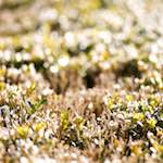 image: Eighth image of Place de la R&eacute;sistance, from the photoset 'place&nbsp;de&nbsp;la&nbsp;r&eacute;sistance'.