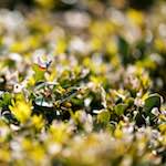 image: Ninth image of Place de la R&eacute;sistance, from the photoset 'place&nbsp;de&nbsp;la&nbsp;r&eacute;sistance'.