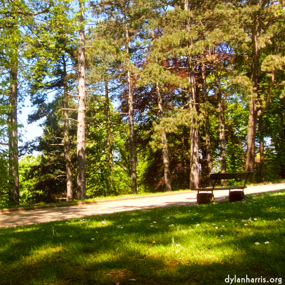 Image 'flower (x) 1'.