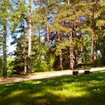 First image from the photoset 'flower (x)'.