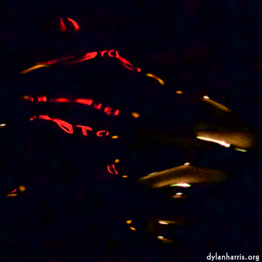 Image: Image 'amsterdam (xxv) 4'.